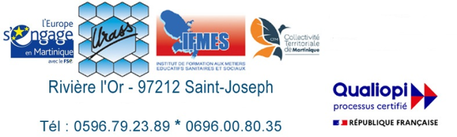 Institut de Formation aux Metiers Educatifs Sanitaires et Sociaux (IFMES)